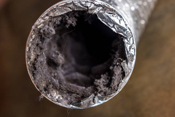 Best Air Duct Cleaning Near Me  in Rolla, MO